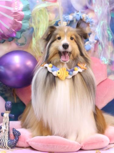 20240828ノアくん